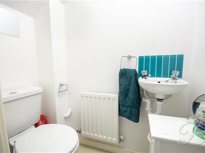 Picture 26
